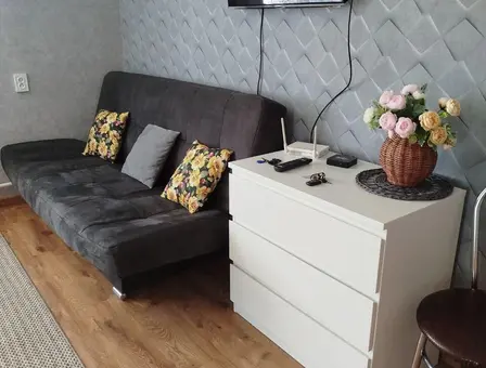 Interior of apartment for daily rent, Baranovichi, Sovetskaya St. 142Б