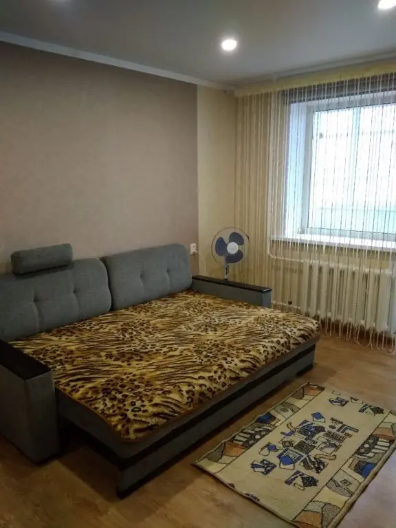 Interior of apartment for daily rent, Baranovichi, Komsomol'skaya str. 23